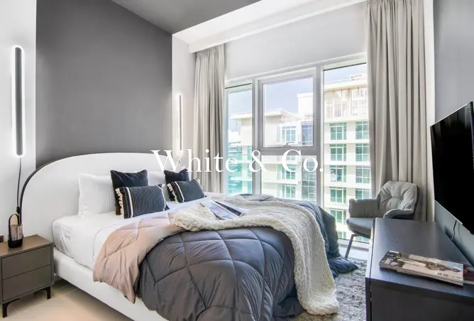 146452186 - Property Image 3