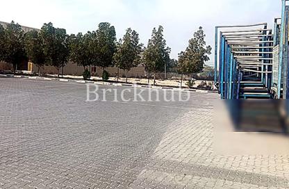 مستودع - استوديو - 3 للبيع في شمال المنطقة الحرة - المنطقة الحرة بجبل علي - جبل علي - دبي مستودع - استوديو - 3 للبيع في شمال المنطقة الحرة - المنطقة الحرة بجبل علي - جبل علي - دبي