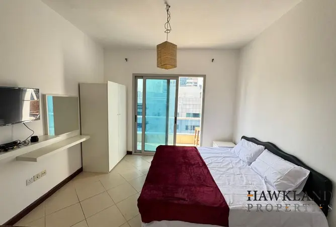 163251964 - Property Image 3
