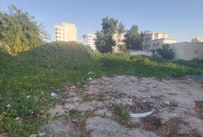 16069025 - صورة العقار 2