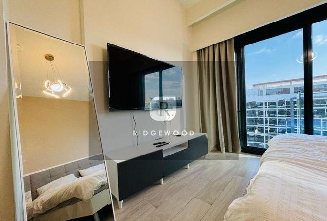 16328847 - Property Image 3