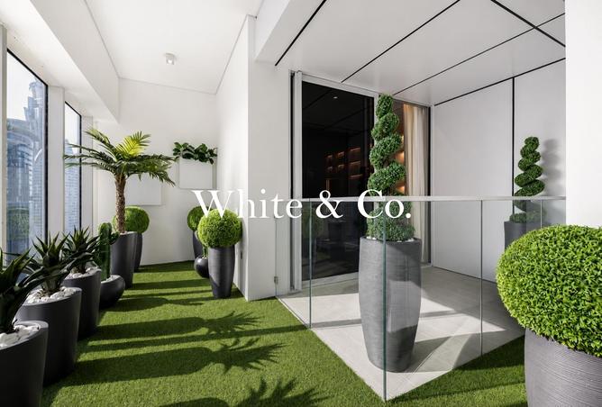 145503716 - Property Image 2