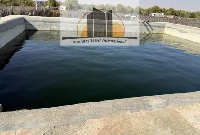 112315646 - Property Image 3