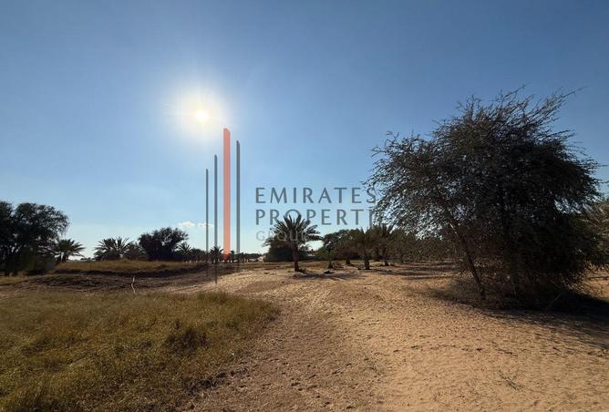 16215646 - صورة العقار 3