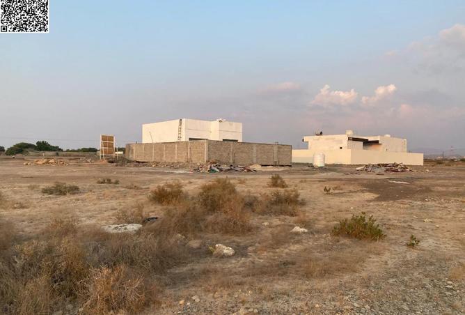 16224637 - Property Image 3