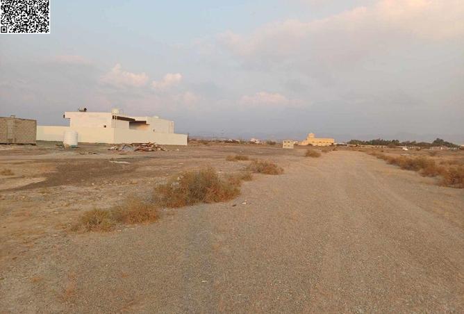 16224637 - Property Image 2