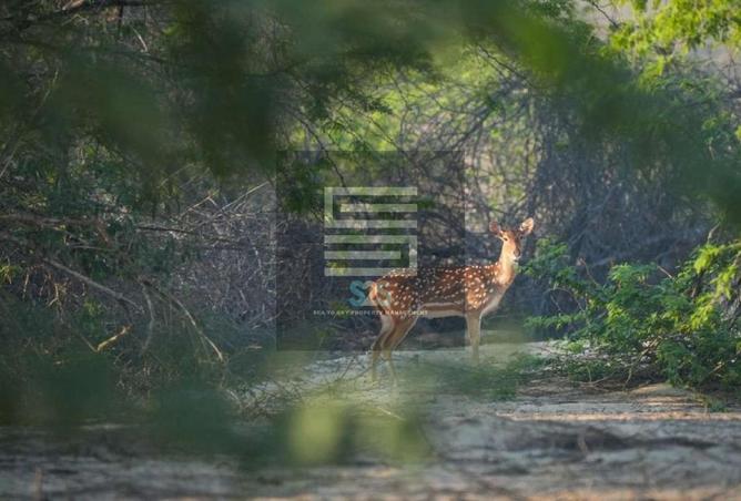 61685342 - Property Image 3