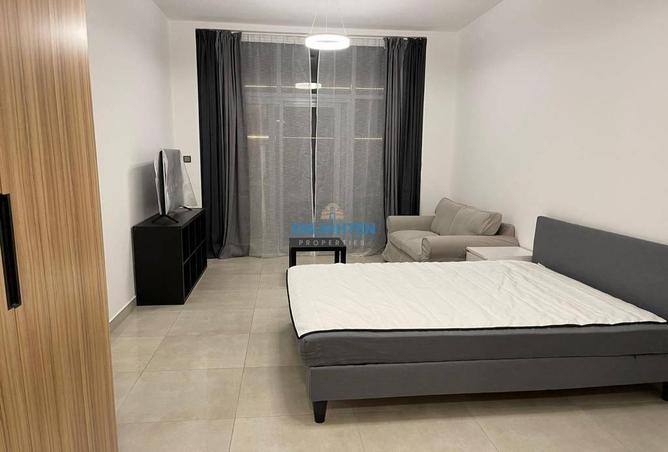 16253216 - Property Image 3