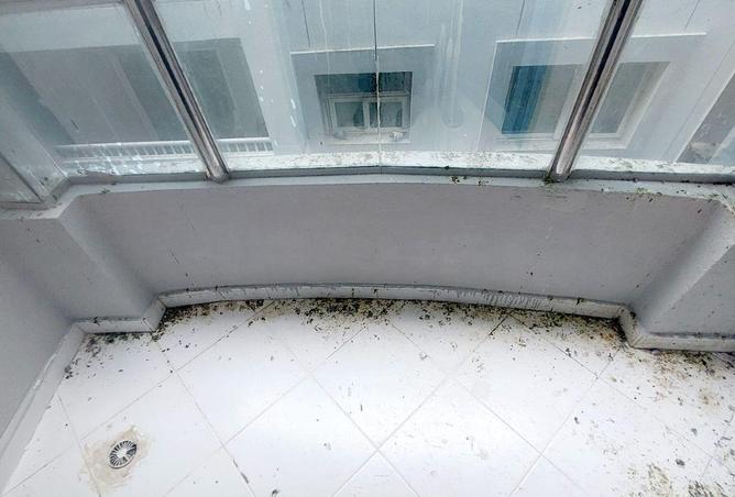 61289650 - Property Image 3