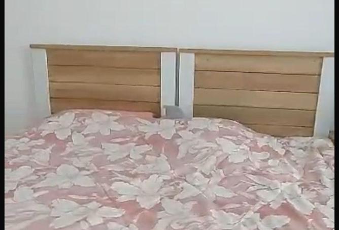 16210786 - Property Image 2