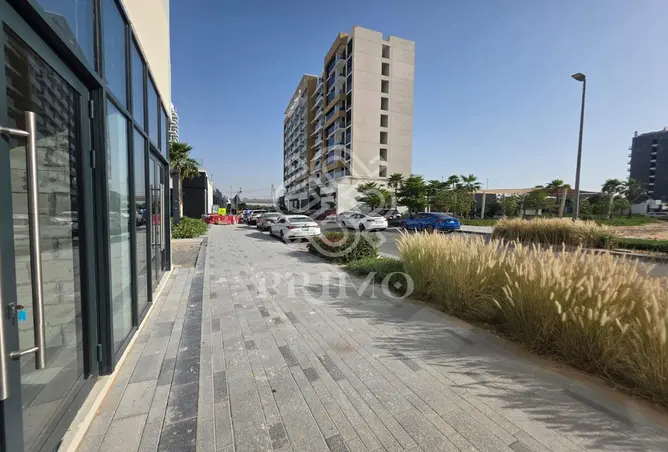 146441648 - Property Image 3