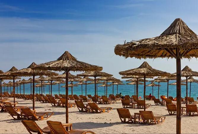 71116342 - صورة العقار 3