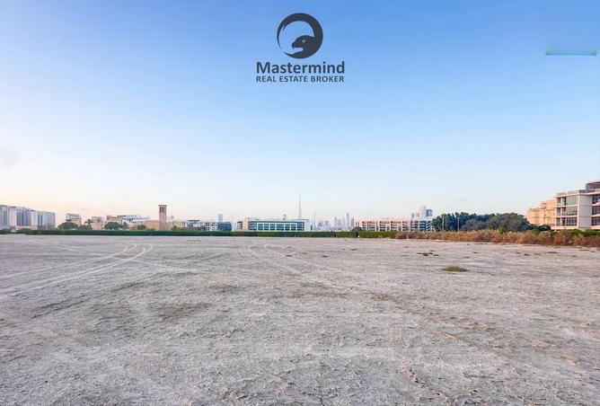 65555416 - Property Image 3