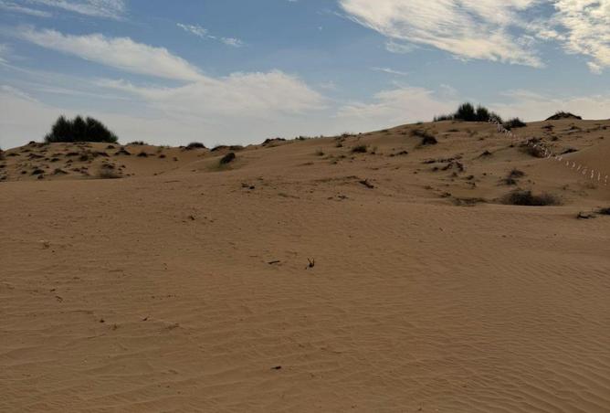 103253637 - صورة العقار 3