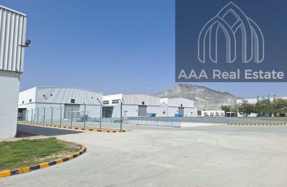 Warehouse - Studio - 7+ Bathrooms for sale in Al Hayl - Fujairah