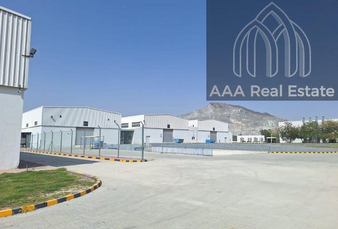 113246738 - Property Image 3