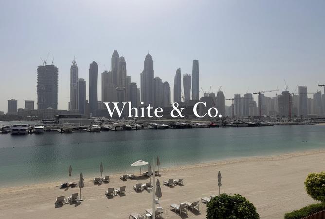 54001596 - الصورة الرئيسية للعقار