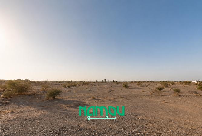 119736857 - Property Image 3