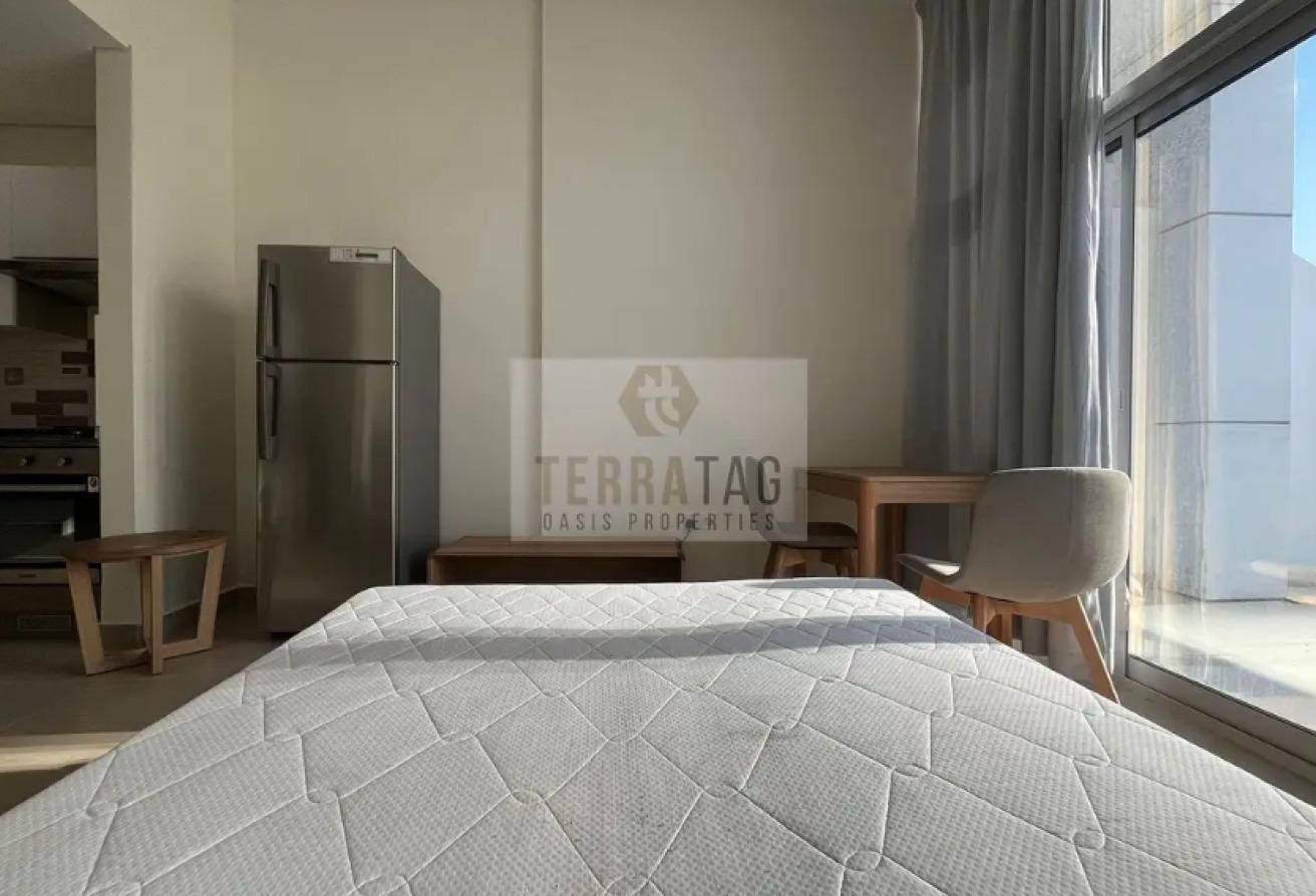 FURNISHED | CHILLER FREE | READY TO MOVE photo 5