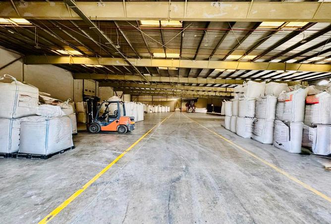 54386289 - Property Image 3