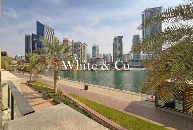 16191864 - Property Image 2