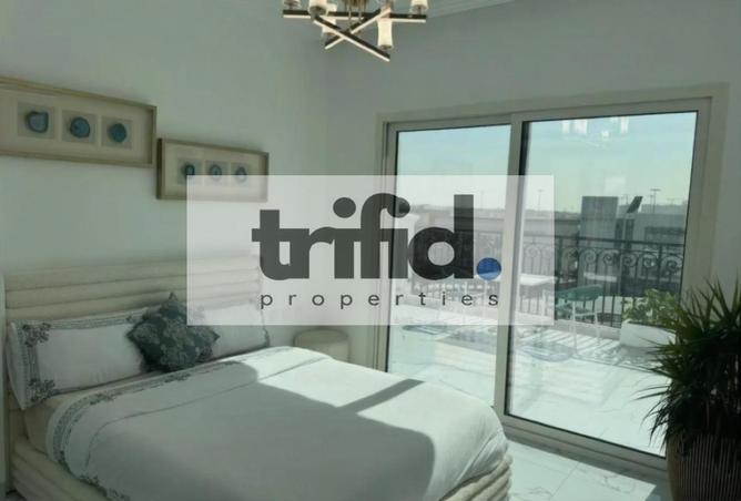 16056691 - Property Image 3