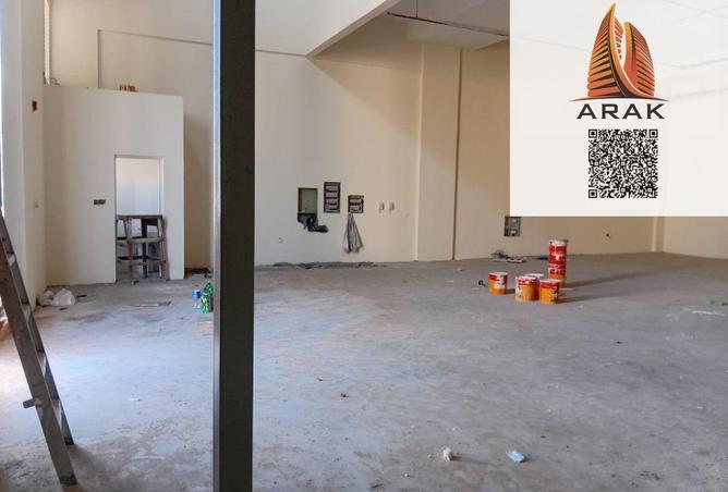 16262594 - Property Image 2