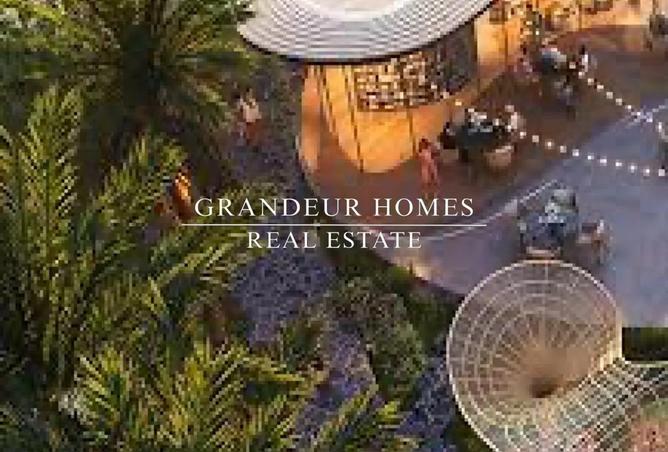 16178212 - Property Image 3