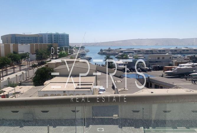 135638977 - Property Image 2