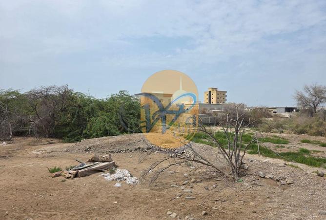 61304361 - Property Image 3