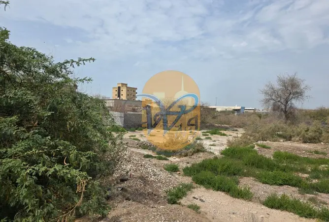 61304361 - صورة العقار 2