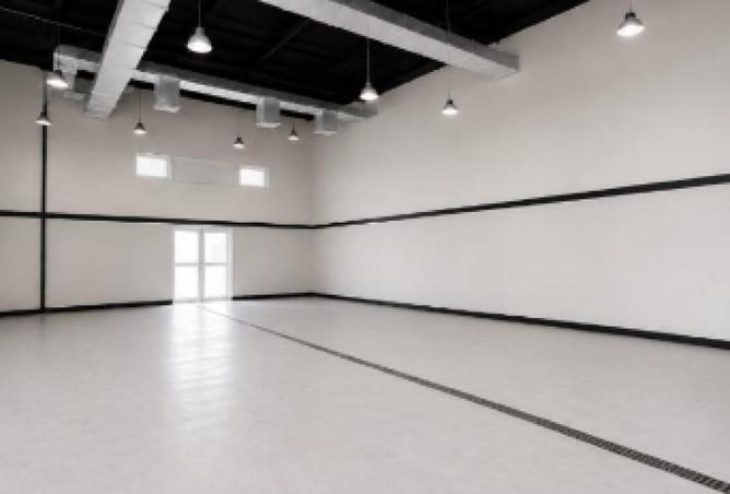 116835338 - Property Image 2