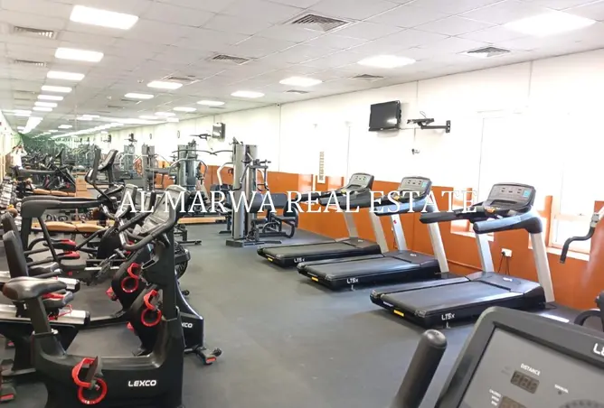 158728764 - Property Image 3