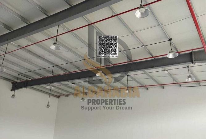 16185393 - Property Image 3