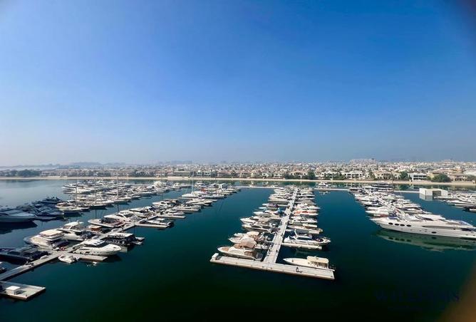 15992637 - الصورة الرئيسية للعقار