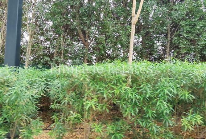 69899231 - صورة العقار 2