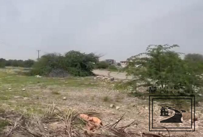 87466197 - صورة العقار 3