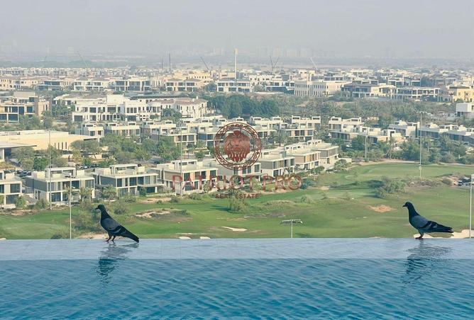 57361261 - Property Image 3