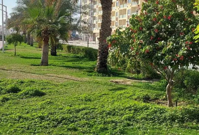 110071529 - Property Image 2