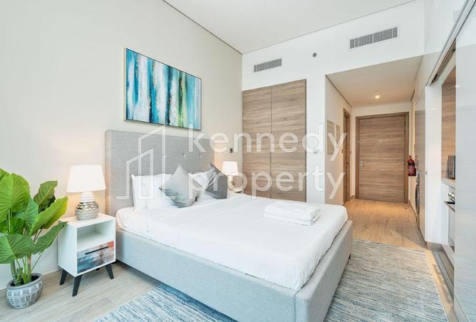 16257863 - Property Image 3