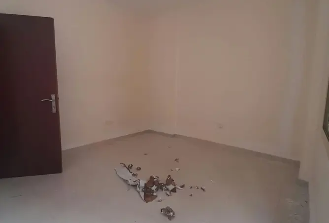 146467358 - صورة العقار 3