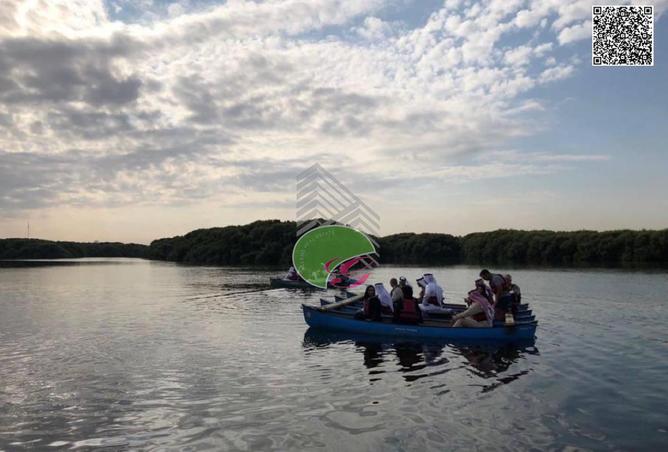 16265820 - Property Image 3