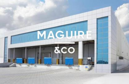 Warehouse - Studio for rent in Freezone South - Jebel Ali Freezone - Jebel Ali - Dubai