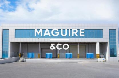 Warehouse - Studio for rent in Freezone South - Jebel Ali Freezone - Jebel Ali - Dubai Warehouse - Studio for rent in Freezone South - Jebel Ali Freezone - Jebel Ali - Dubai