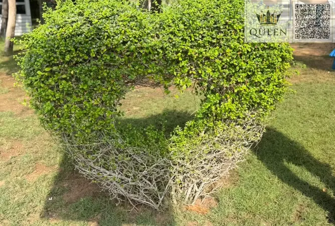 158221419 - Property Image 3
