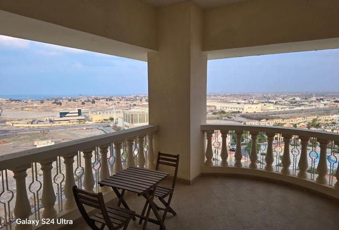 16125351 - Property Image 3