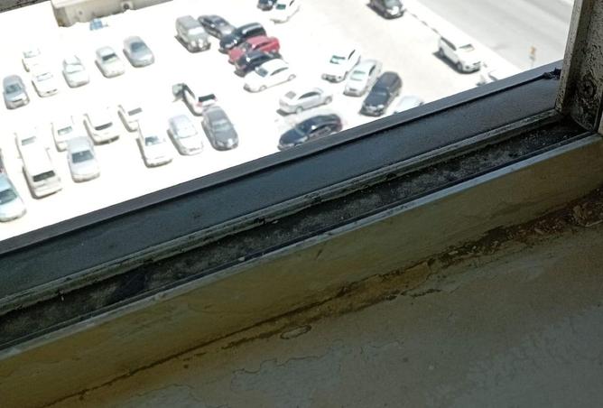 99137149 - Property Image 3