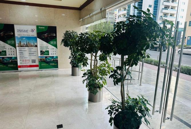 16323930 - Property Image 3