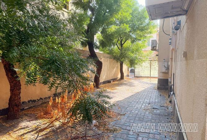 77375822 - Property Image 3