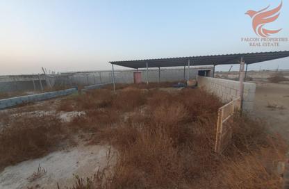 Farm - Studio for rent in Ghalilah - Ras Al Khaimah